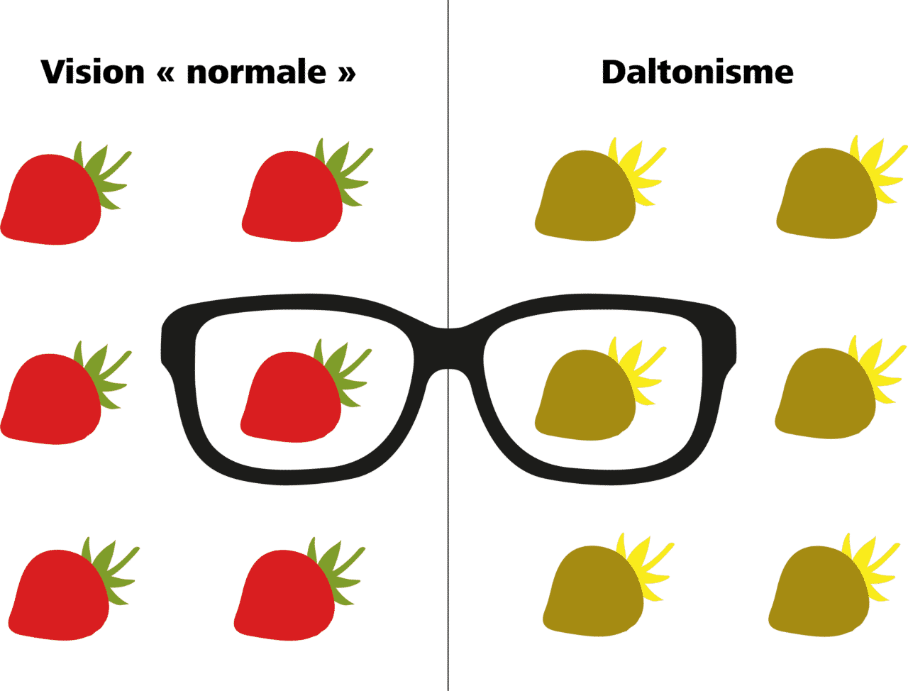 Dicoptic, le dictionnaire de l'optique - Daltonisme